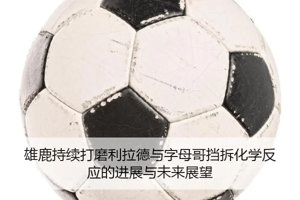 雄鹿持续打磨利拉德与字母哥挡拆化学反应的进展与未来展望 | kaiyun